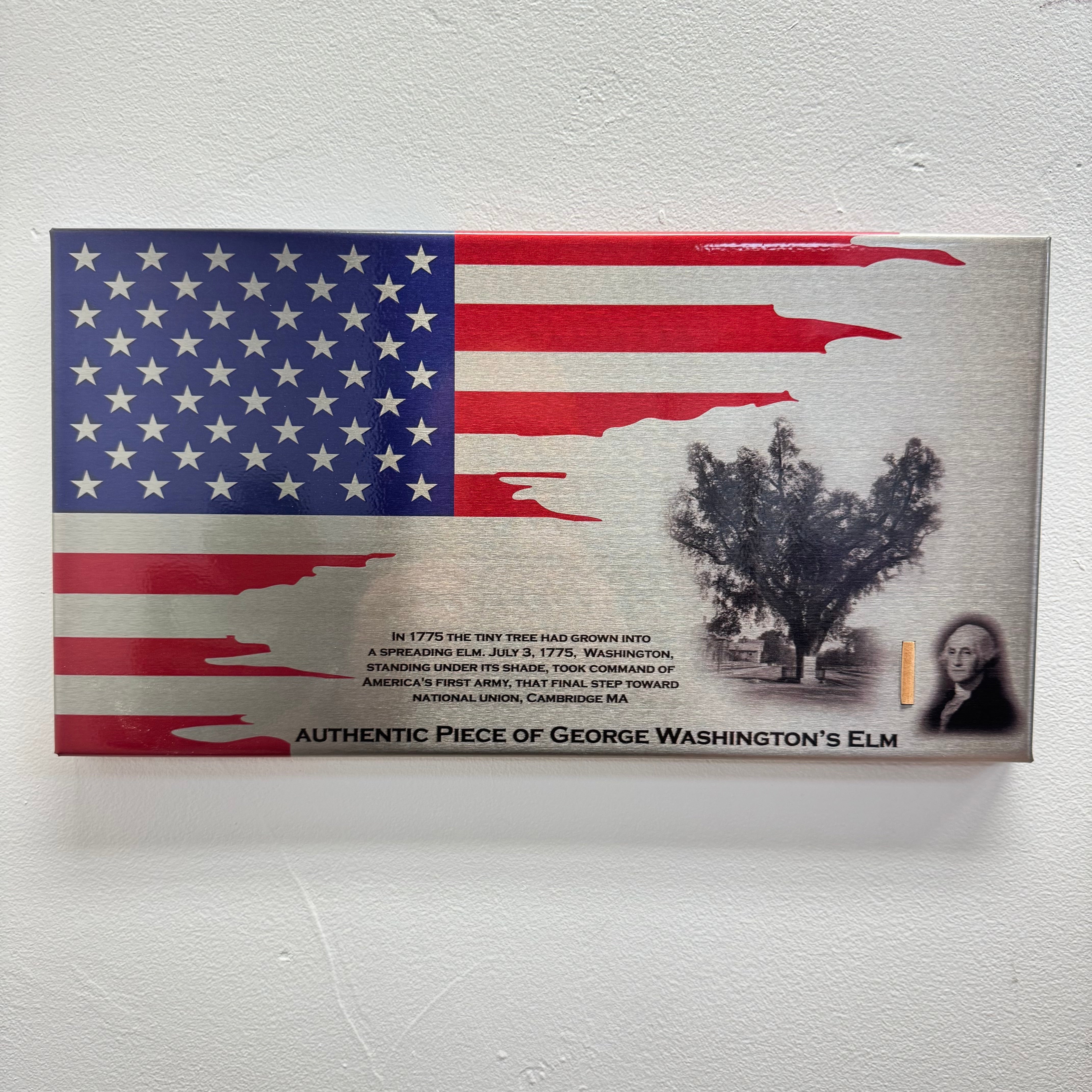Authentic George Washington Elm Artifact Flag