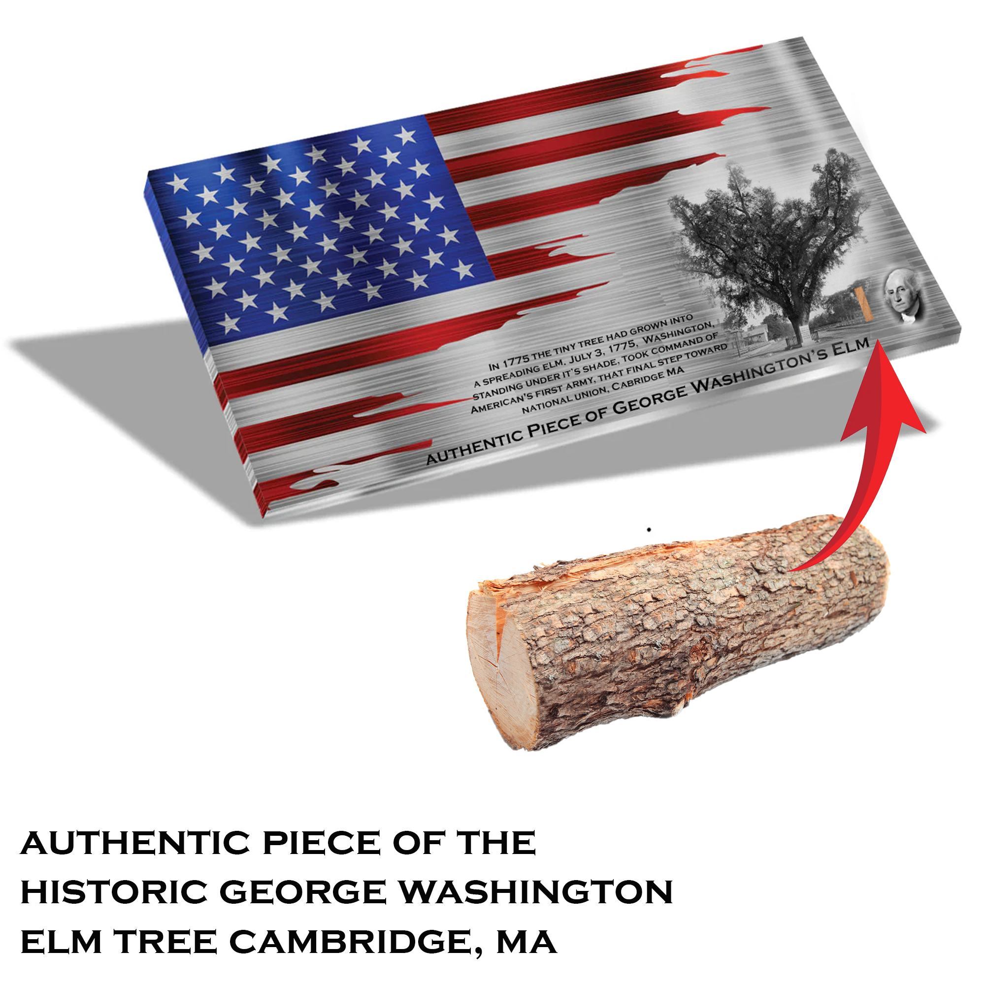 Authentic George Washington Elm Artifact Flag