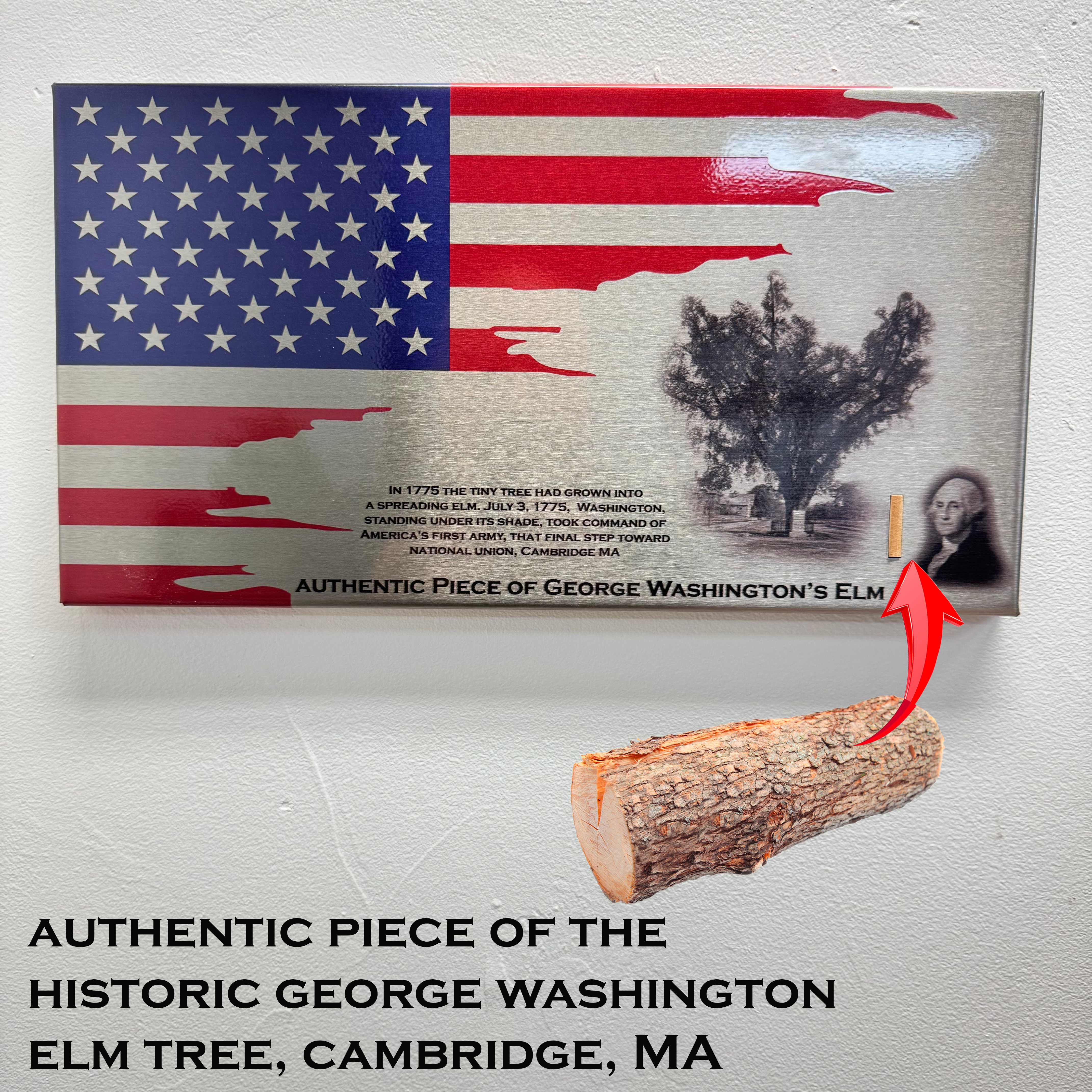 Authentic George Washington Elm Artifact Flag