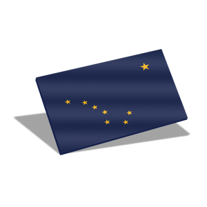 Indoor / Outdoor State Flags