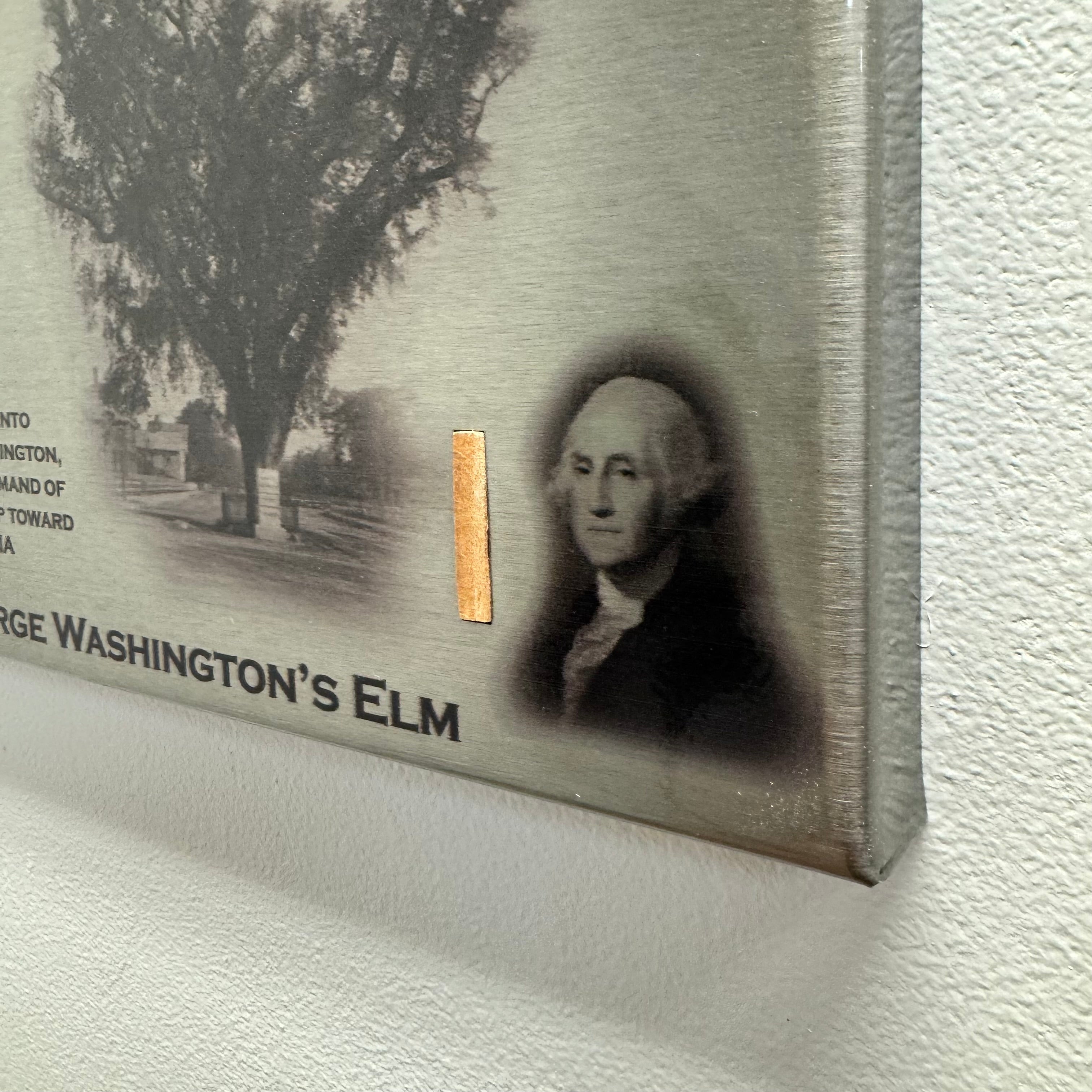 Authentic George Washington Elm Artifact Flag