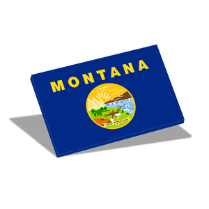 Indoor / Outdoor State Flags