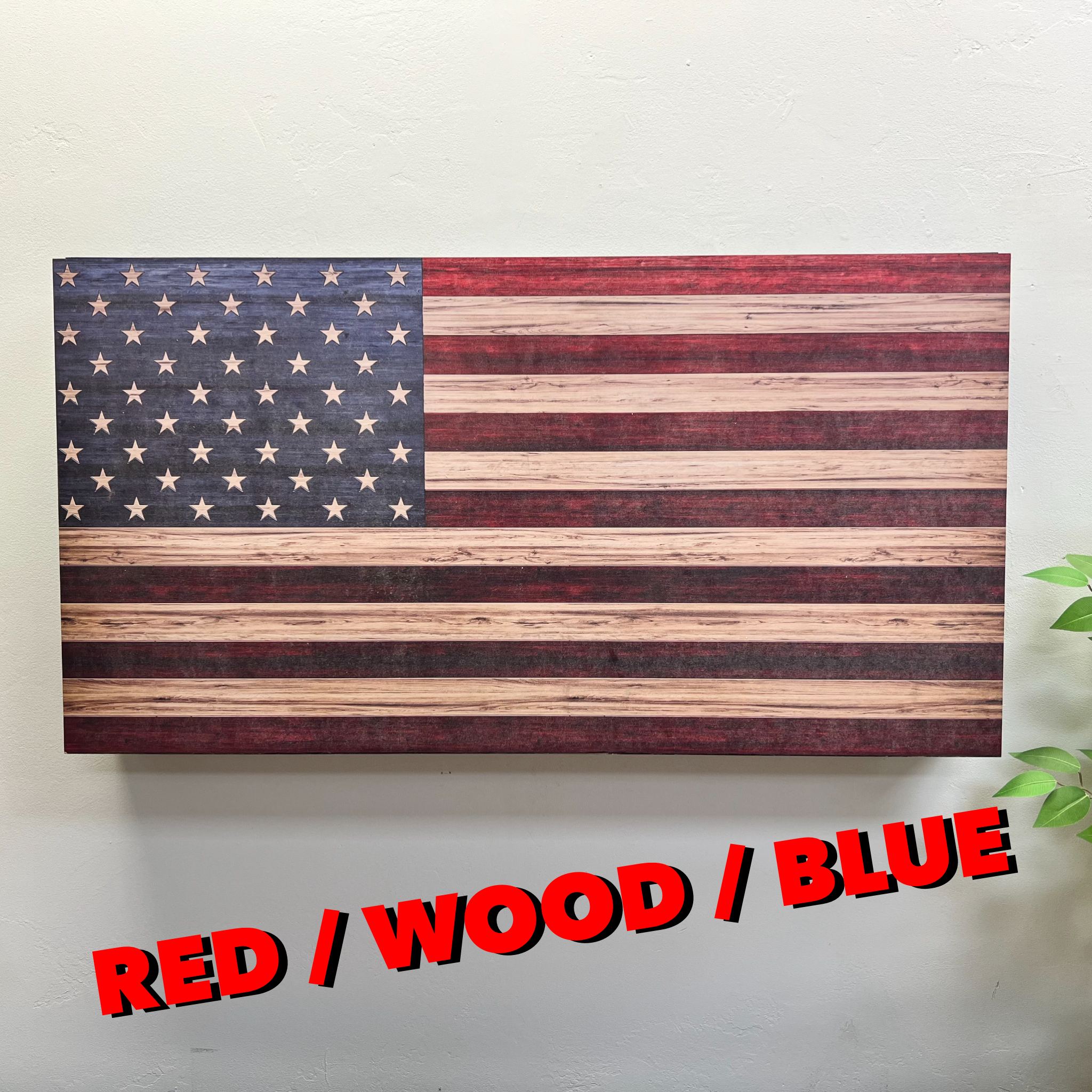 Freedom Cabinet Allegiance Series