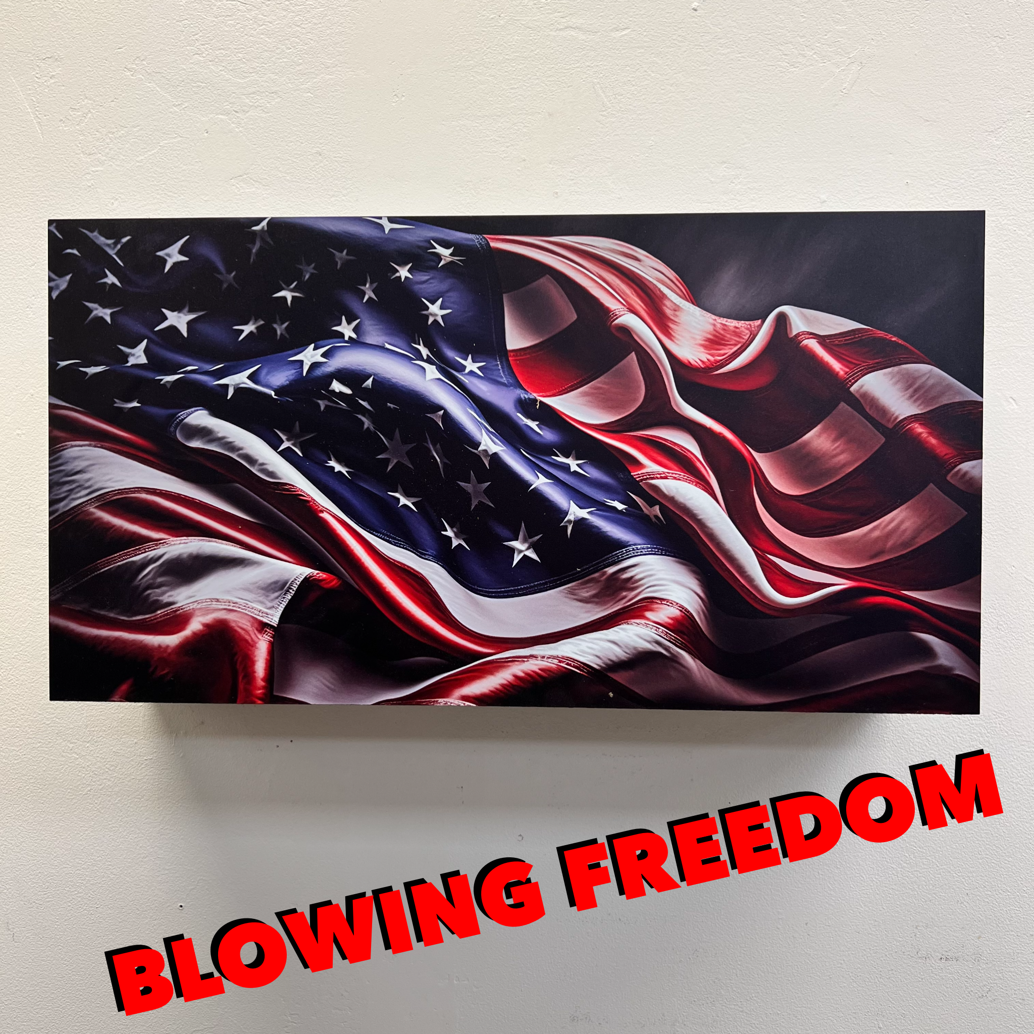 Freedom Cabinet Allegiance Series